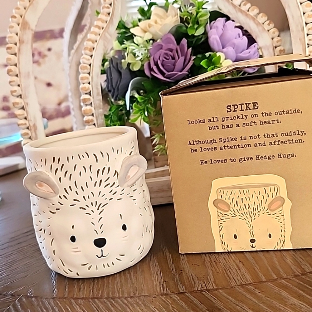 Hedgehog Planter